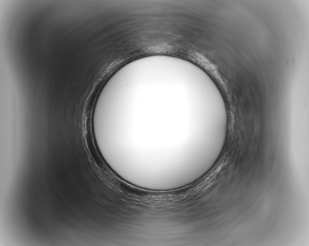 X0000098170106200804241018