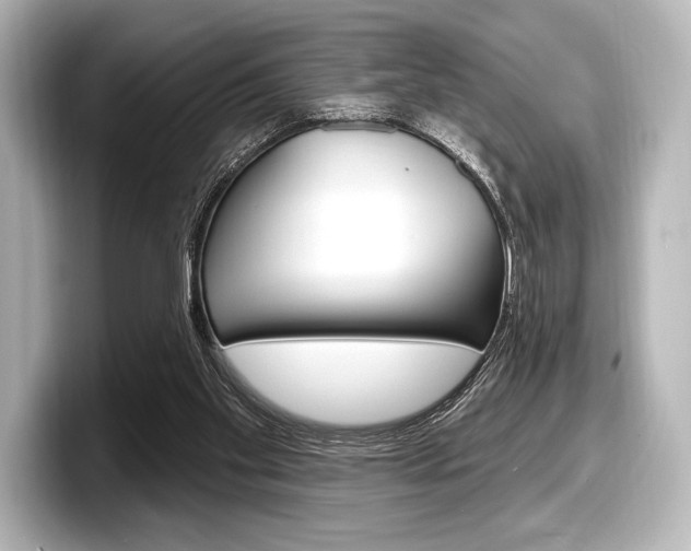 X0000098170109200804241018