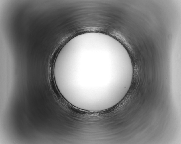 X0000098170110200804241018