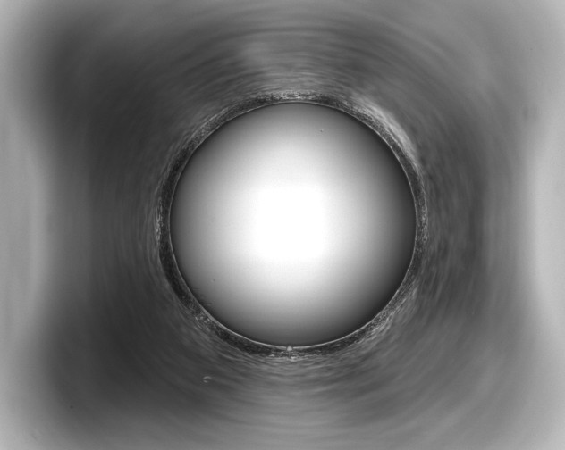 X0000098170113200804241018