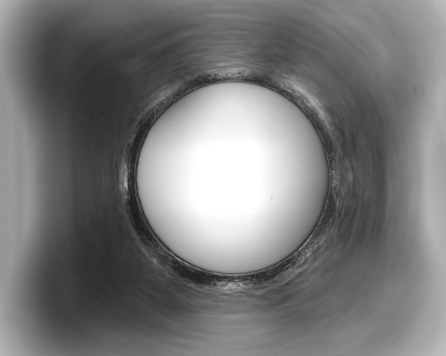 X0000098170115200804241018