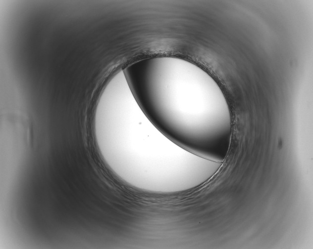 X0000098170116200804241018