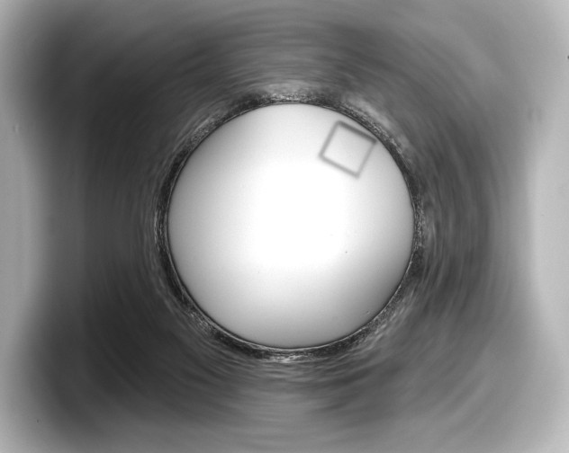 X0000098170117200804241018