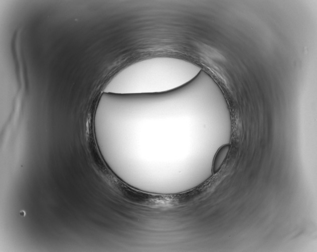 X0000098170118200804241018