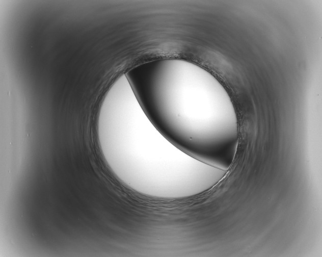 X0000098170120200804241018