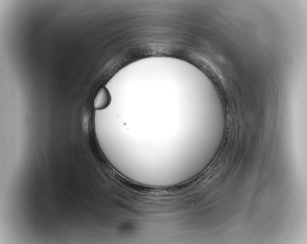 X0000098170123200804241017
