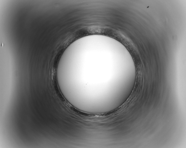X0000098170125200804241017