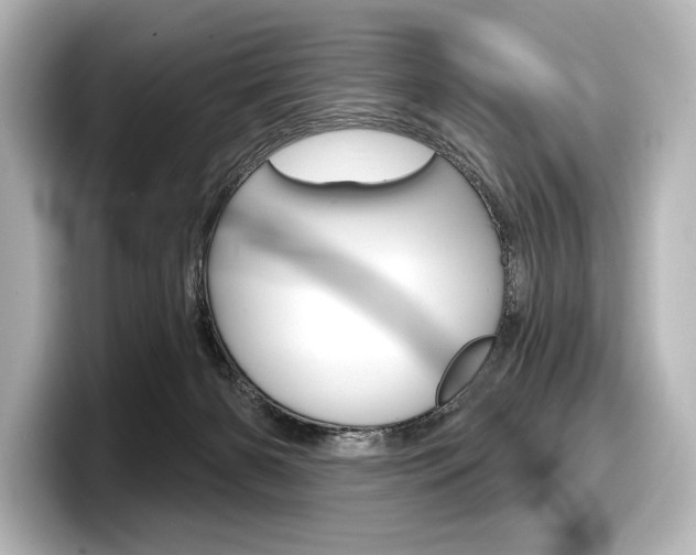 X0000098170126200804241017