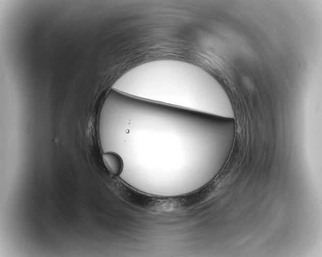 X0000098170127200804241017