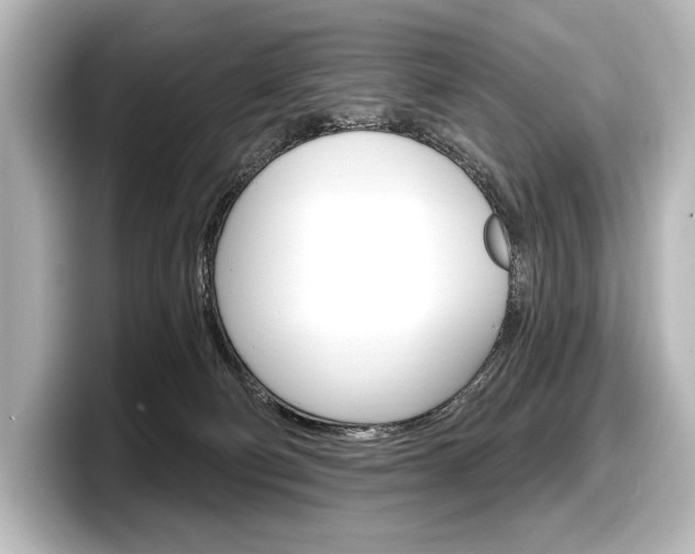 X0000098170130200804241017
