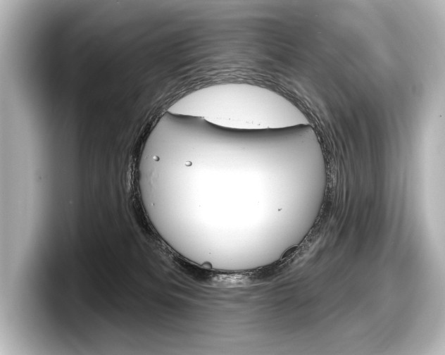 X0000098170133200804241017