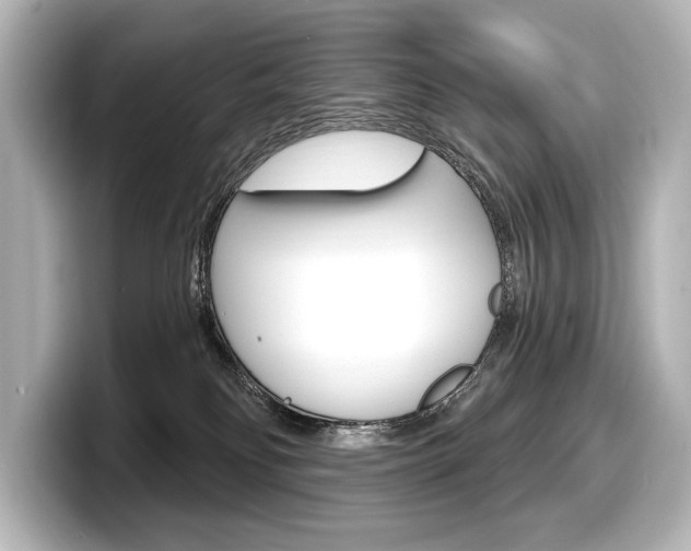 X0000098170134200804241017