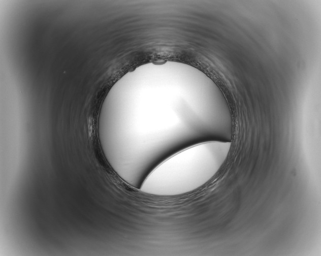 X0000098170135200804241017