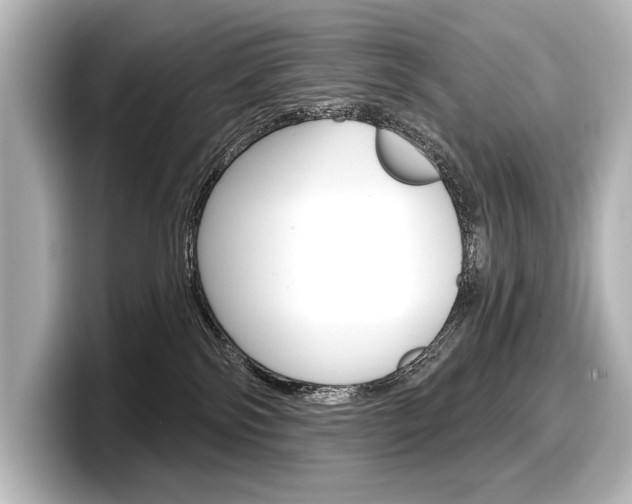 X0000098170138200804241017