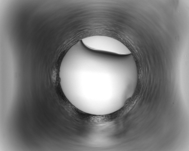 X0000098170139200804241017