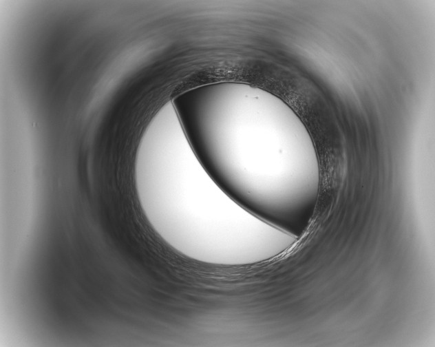 X0000098170140200804241017