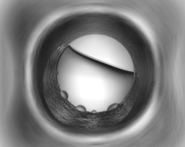 X0000098170143200804241017