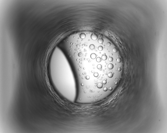 X0000098170145200804241017