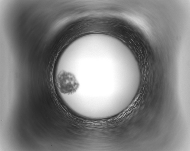 X0000098170146200804241017