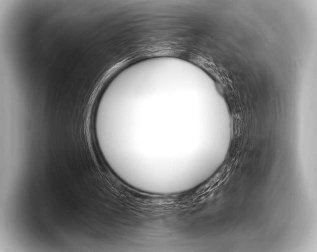 X0000098170147200804241017