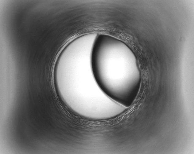 X0000098170148200804241017
