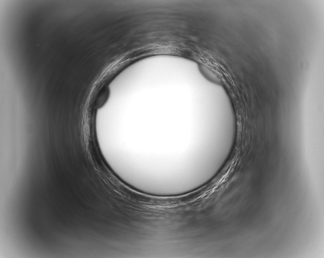 X0000098170149200804241017