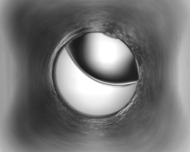 X0000098170150200804241017
