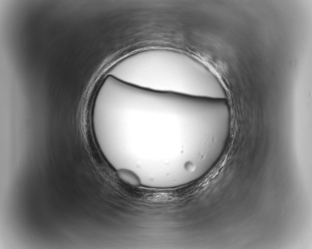 X0000098170151200804241017