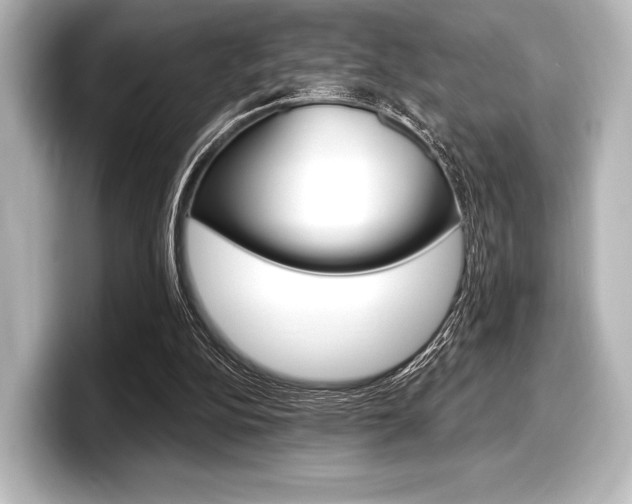 X0000098170152200804241017