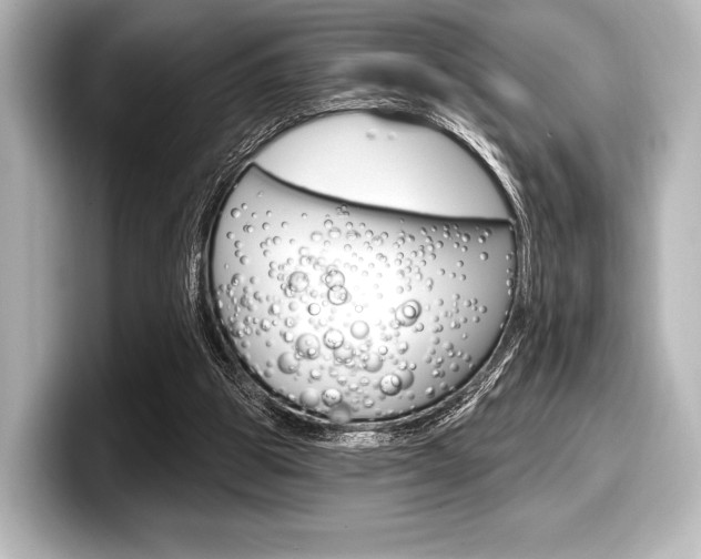 X0000098170153200804241017