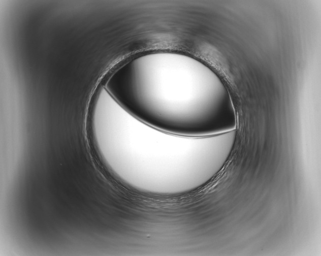 X0000098170156200804241017