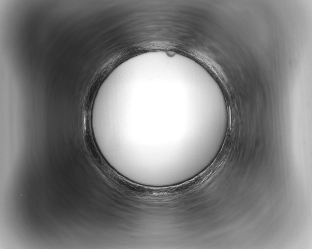 X0000098170157200804241017