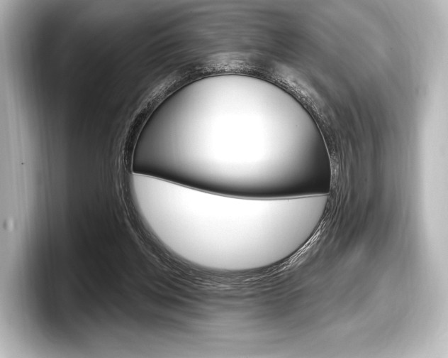 X0000098170158200804241017