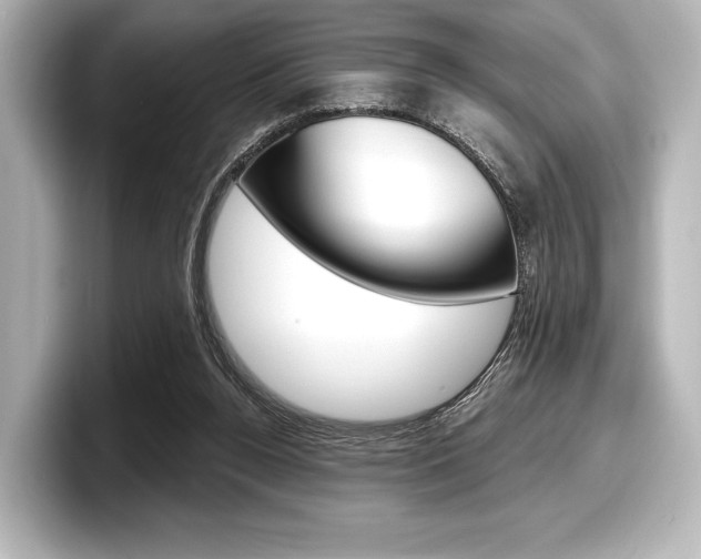 X0000098170160200804241017