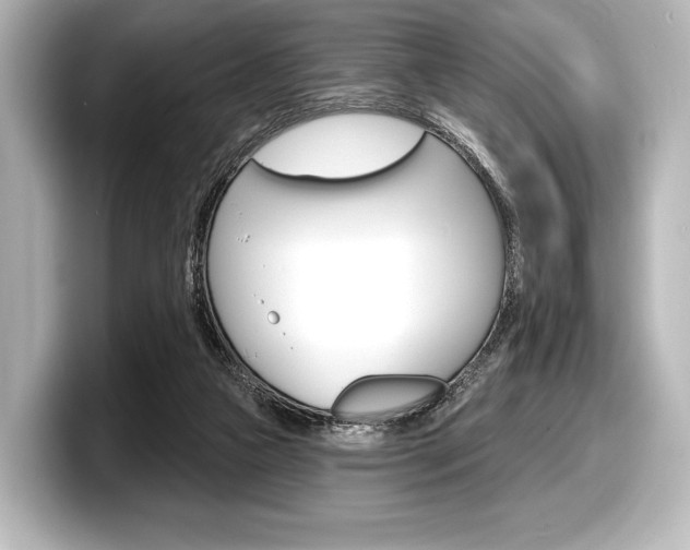 X0000098170161200804241017