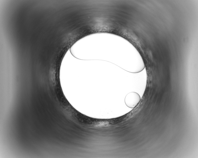 X0000098170162200804241017