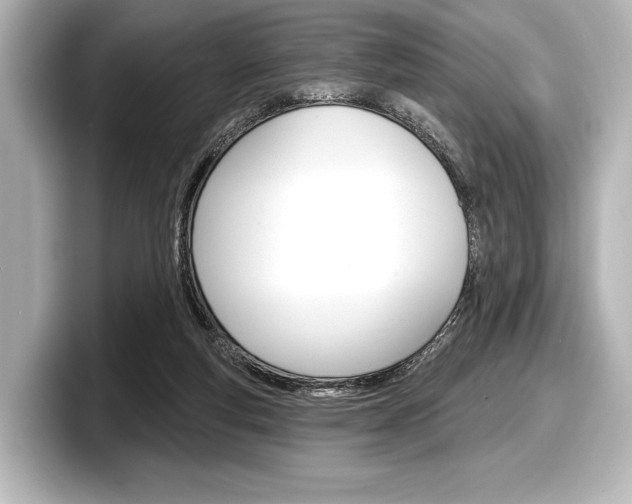 X0000098170163200804241017