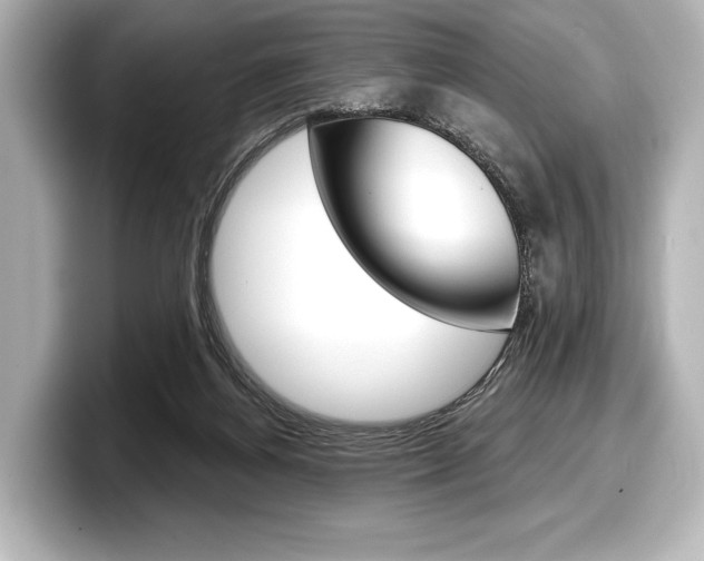 X0000098170164200804241017
