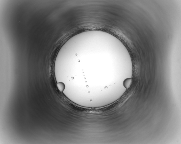 X0000098170165200804241017