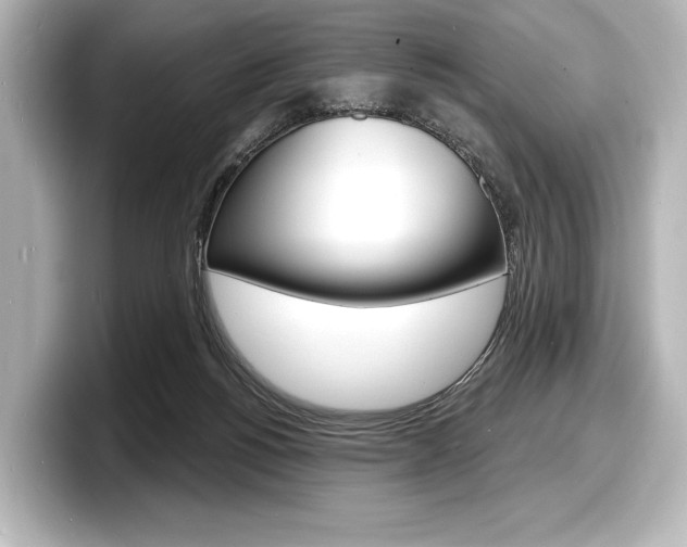 X0000098170168200804241017