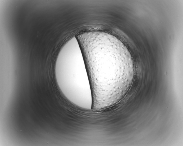X0000098170169200804241017