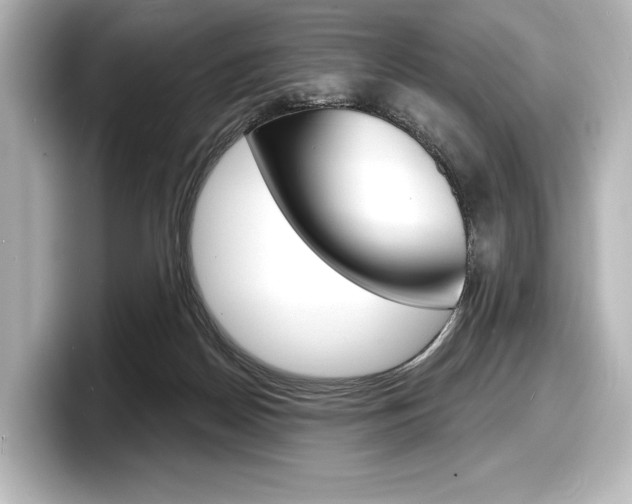 X0000098170170200804241017