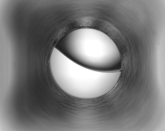 X0000098170172200804241017