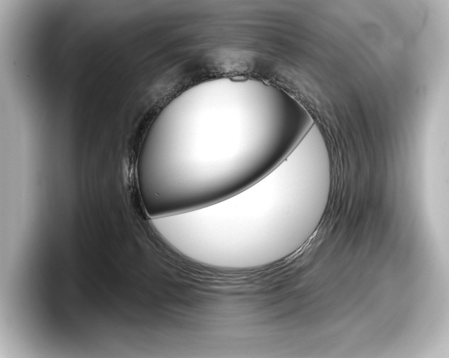 X0000098170176200804241017