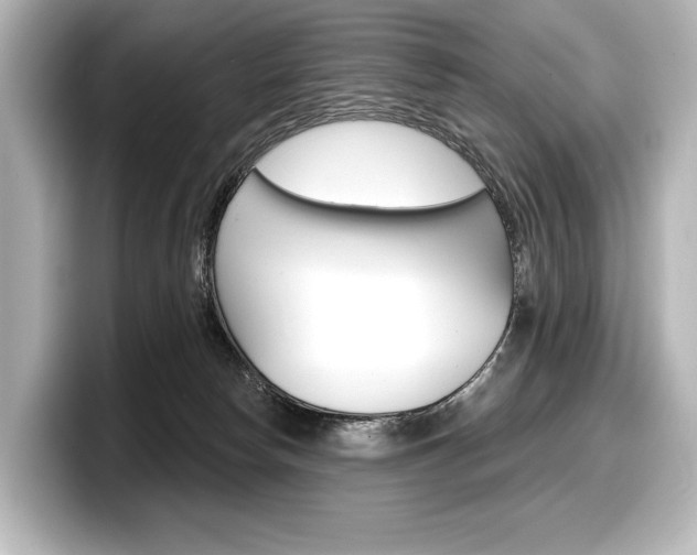 X0000098170178200804241017