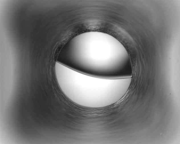 X0000098170180200804241017