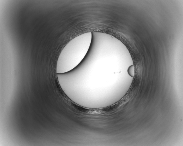 X0000098170181200804241017
