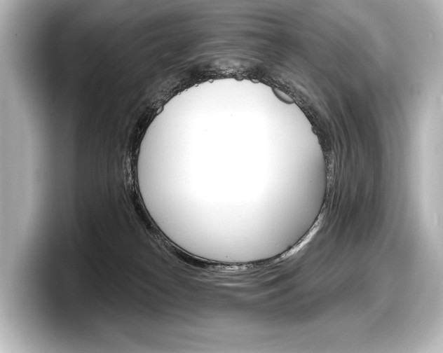 X0000098170182200804241017
