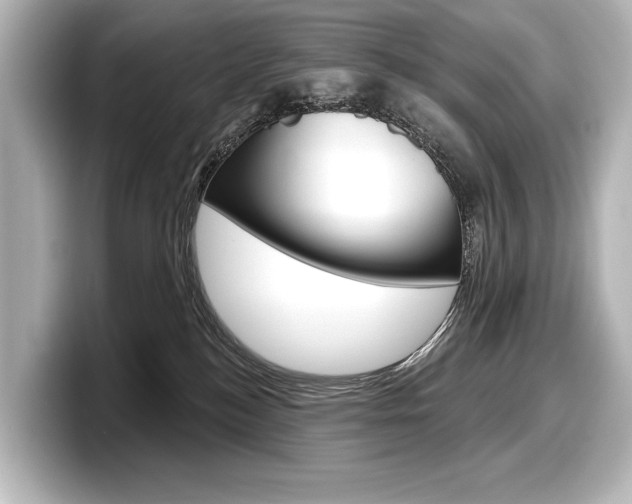 X0000098170184200804241017