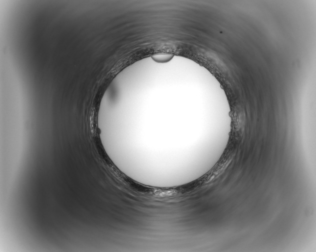 X0000098170185200804241017